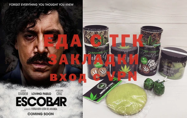 тгк Абаза