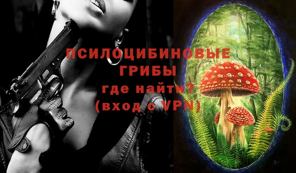 бошки Абдулино