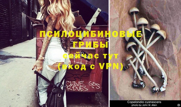 бошки Абдулино