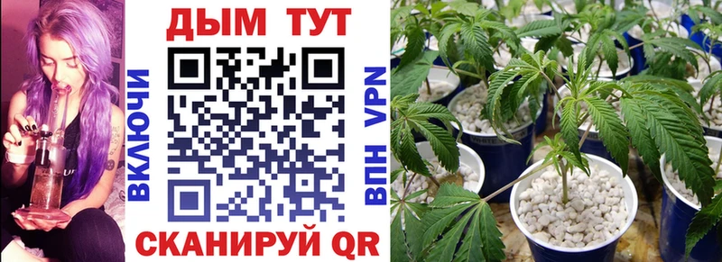 Бошки Шишки семена  Красавино 